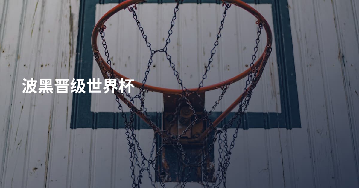 波黑晋级世界杯