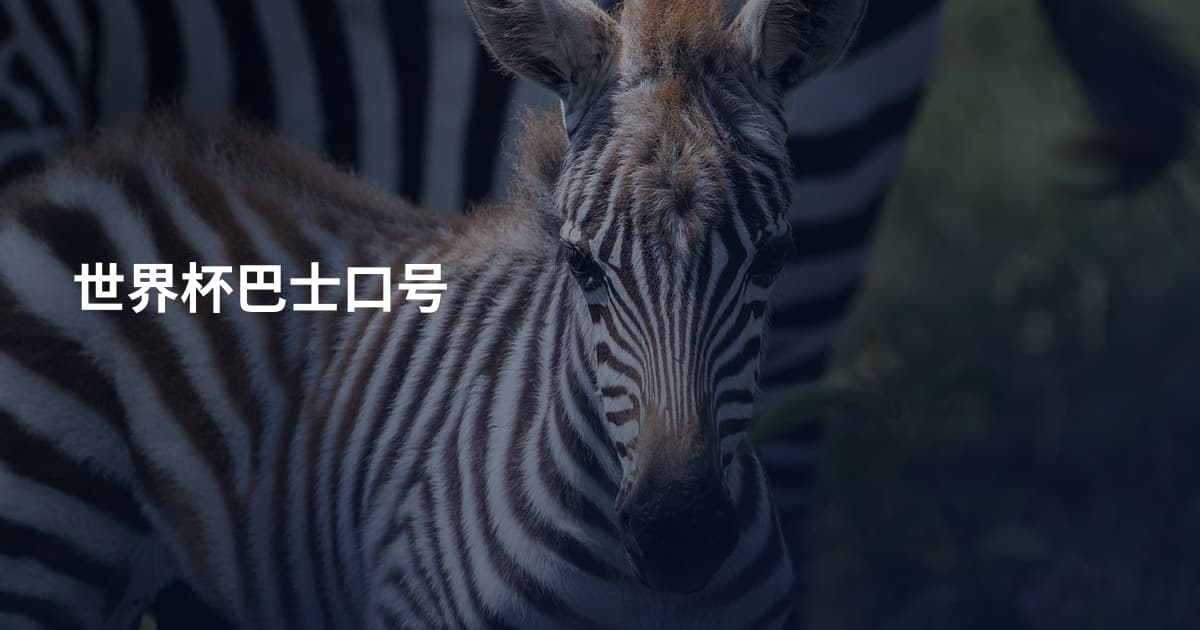 世界杯巴士口号