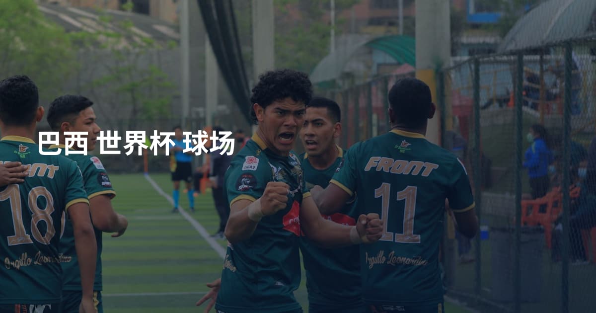 巴西 世界杯 球场