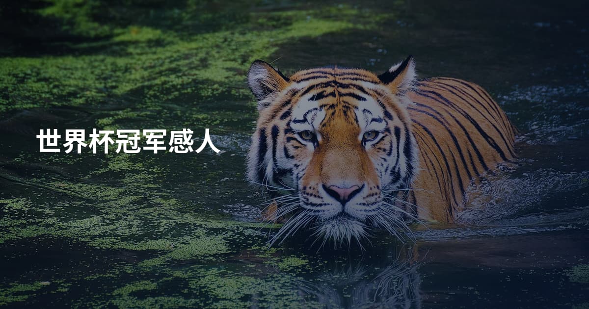 世界杯冠军感人