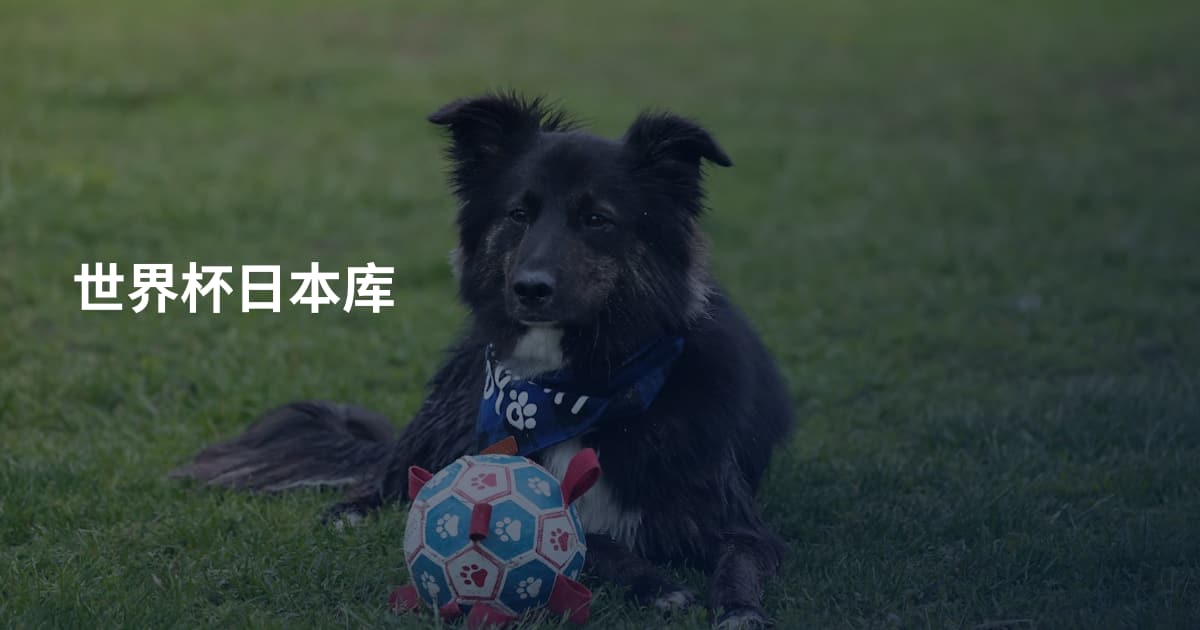 世界杯日本库
