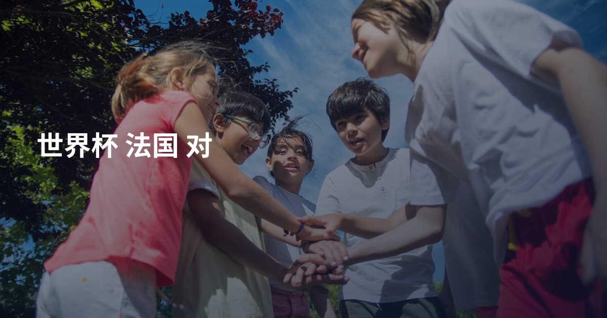 世界杯 法国 对