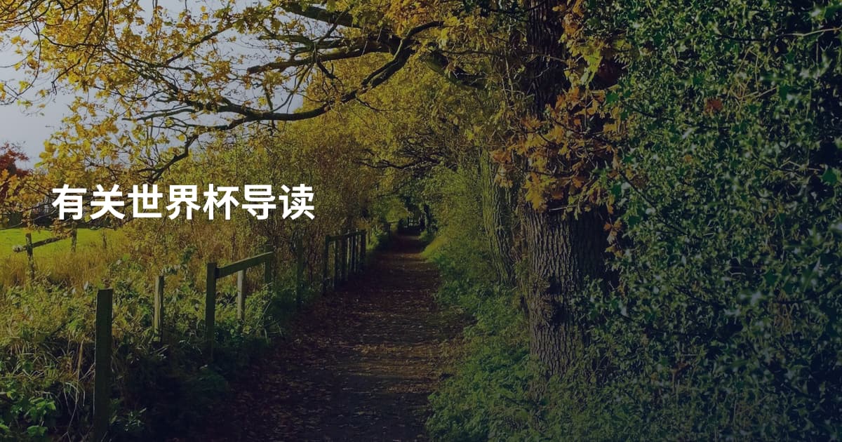 有关世界杯导读