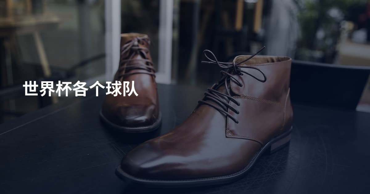 世界杯各个球队