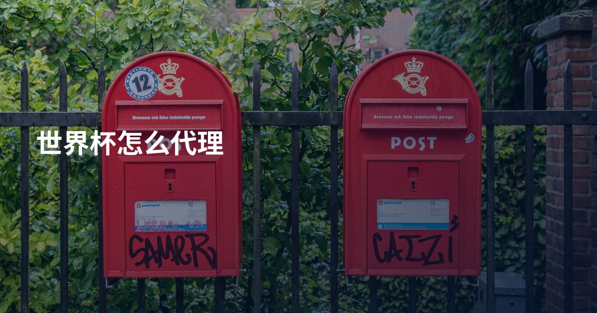 世界杯怎么代理