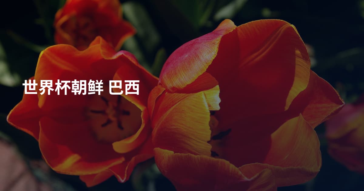 世界杯朝鲜 巴西