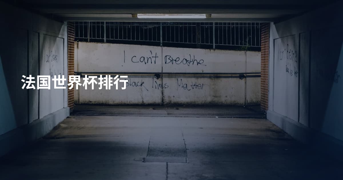 法国世界杯排行