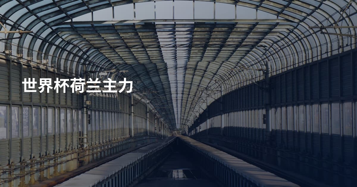 世界杯荷兰主力