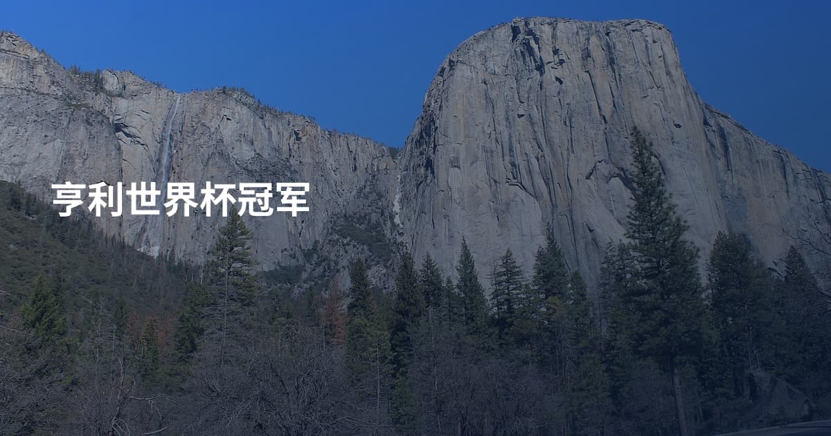 亨利世界杯冠军