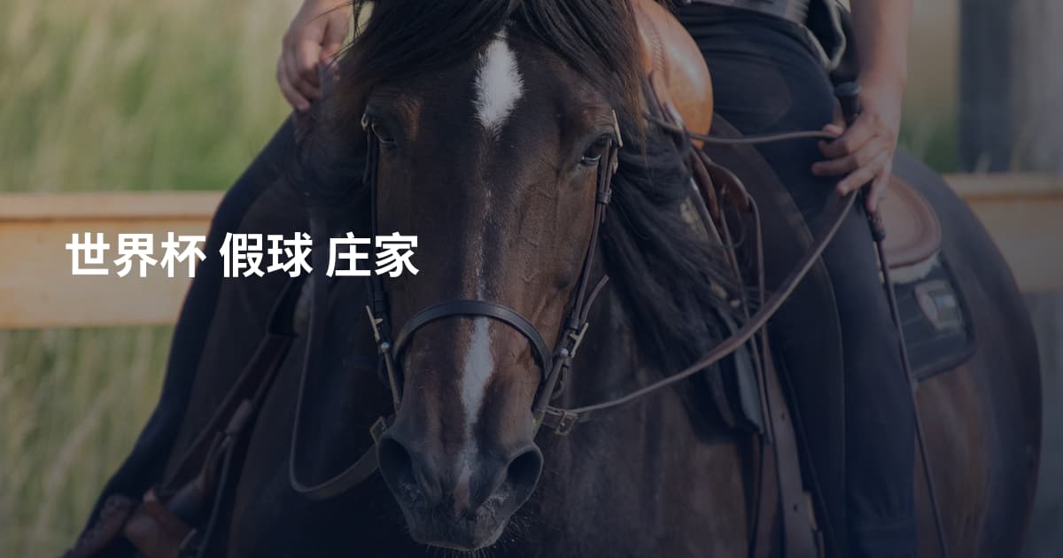 世界杯 假球 庄家