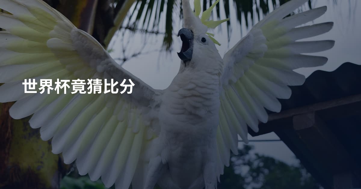 世界杯竟猜比分