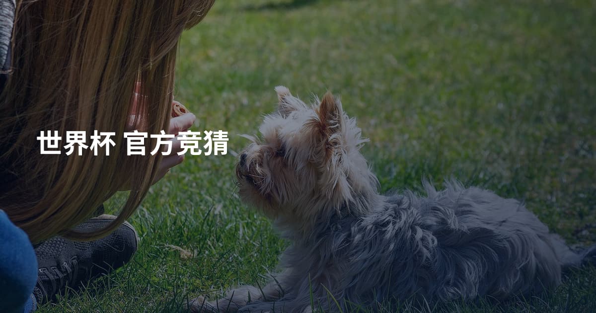 世界杯 官方竞猜
