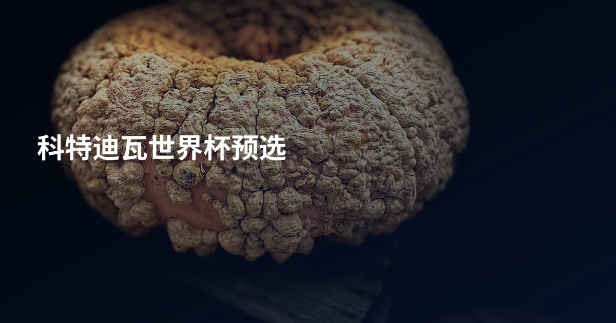 科特迪瓦世界杯预选