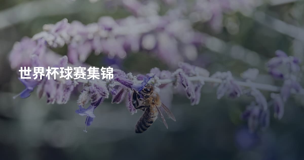 世界杯球赛集锦