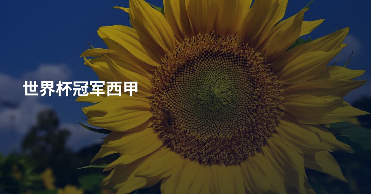 世界杯冠军西甲