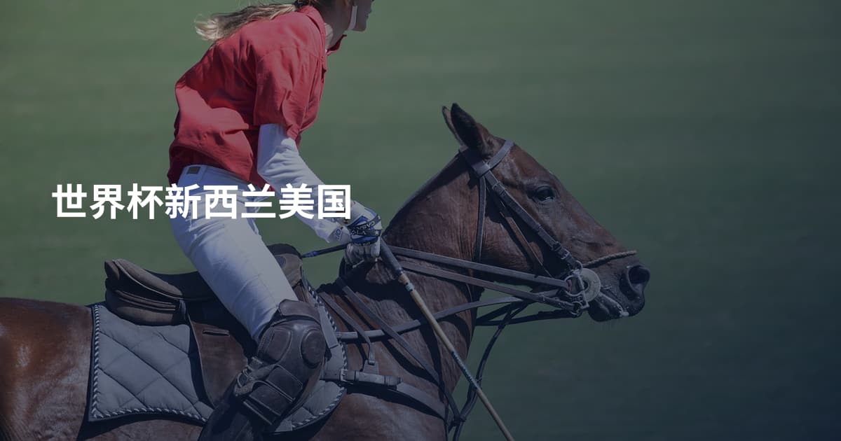 世界杯新西兰美国