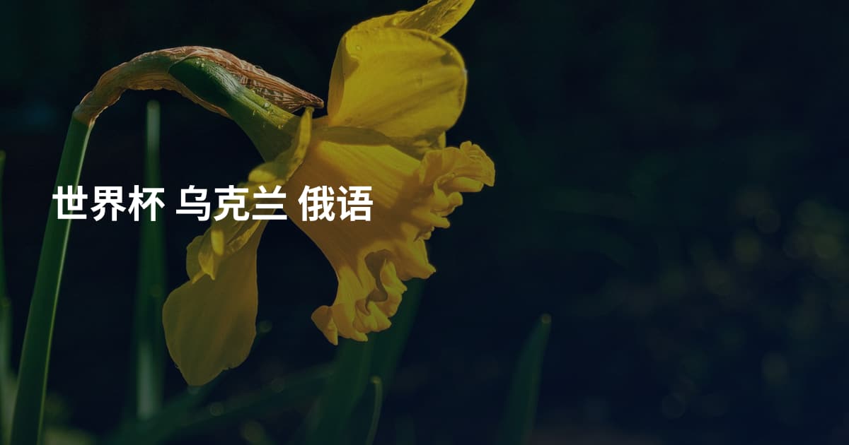 世界杯 乌克兰 俄语