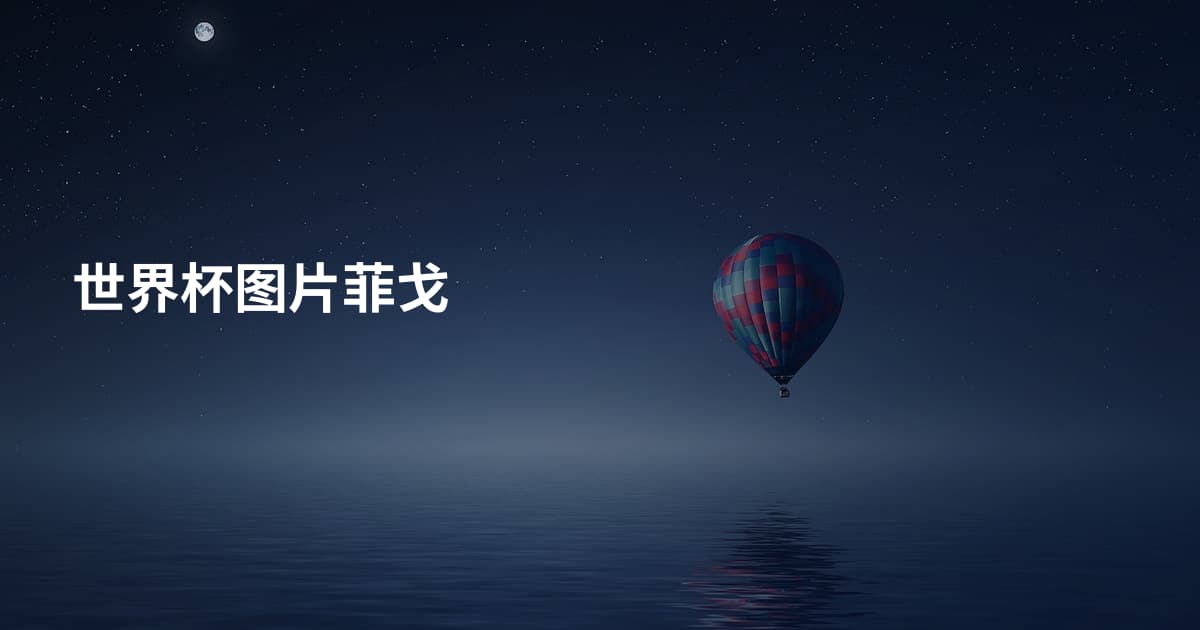 世界杯图片菲戈
