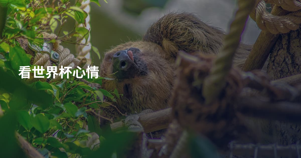 看世界杯心情