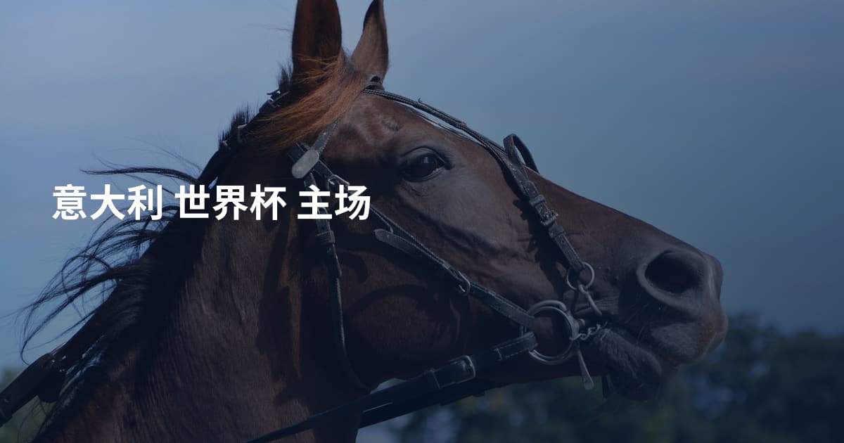 意大利 世界杯 主场