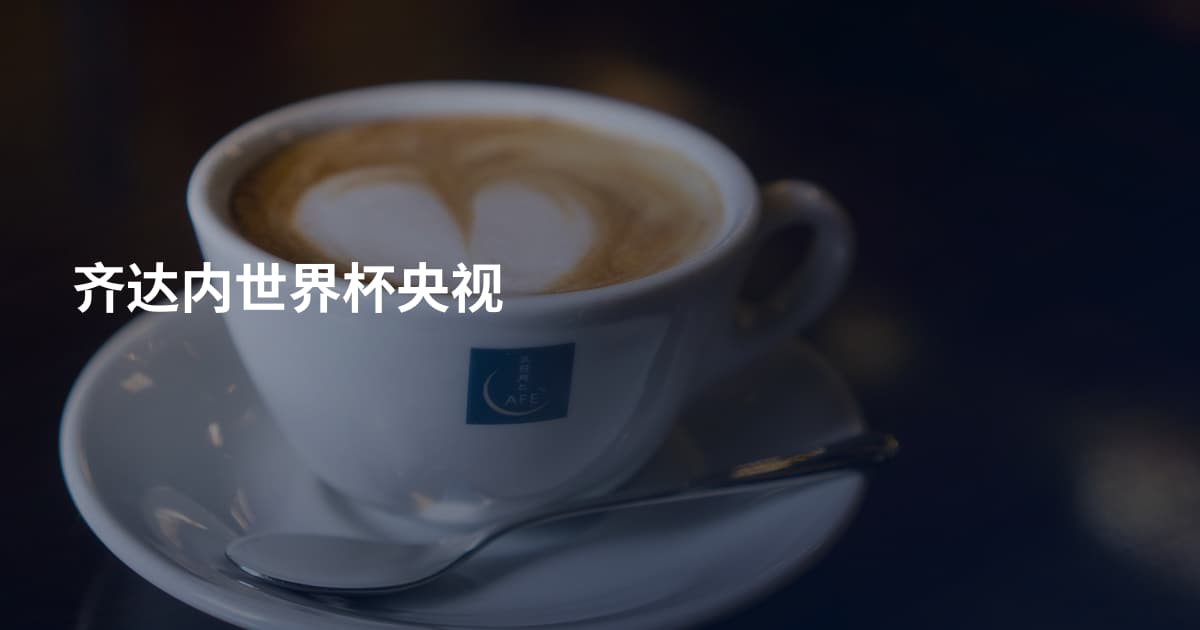齐达内世界杯央视