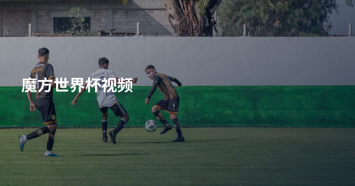 魔方世界杯视频