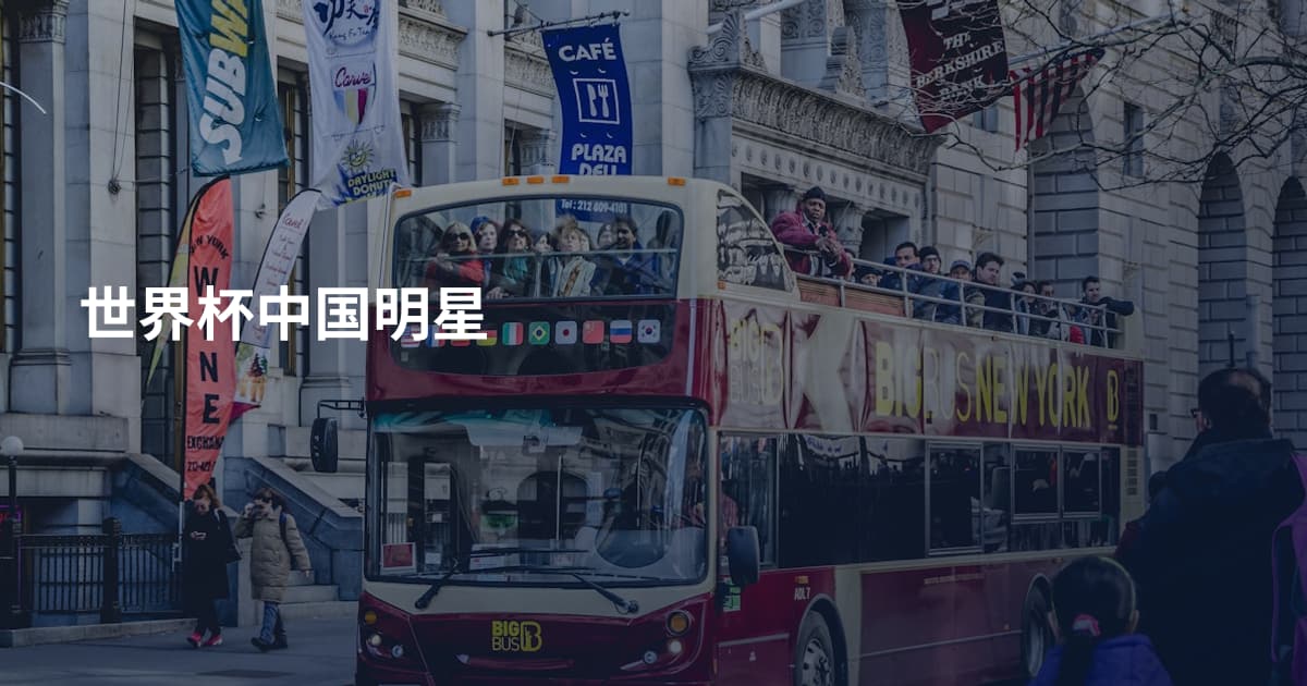 世界杯中国明星