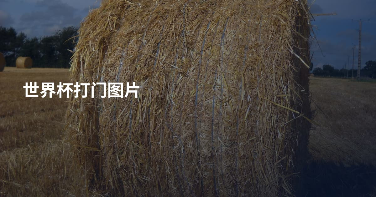 世界杯打门图片