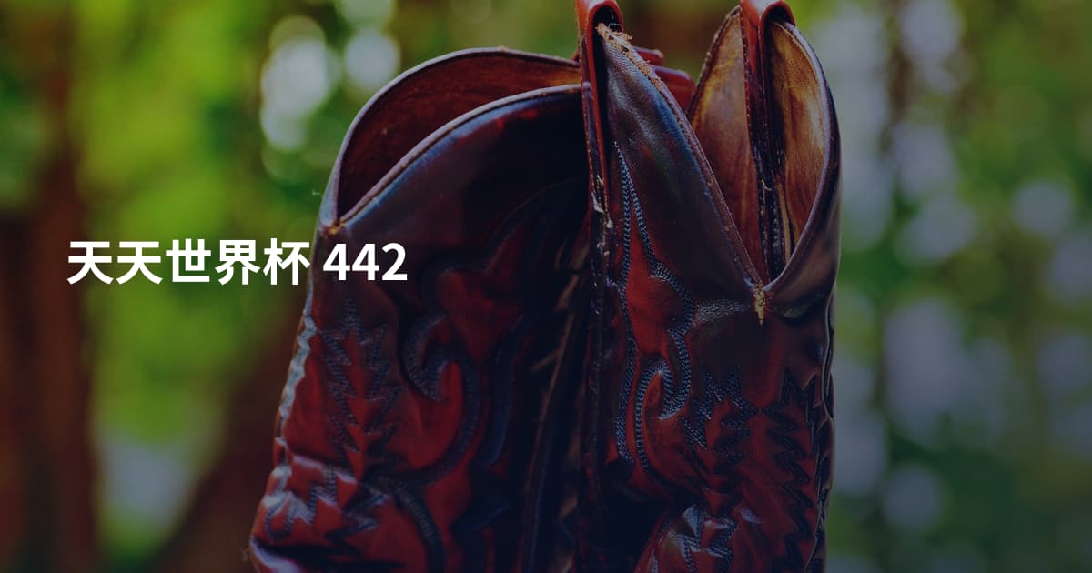 天天世界杯 442