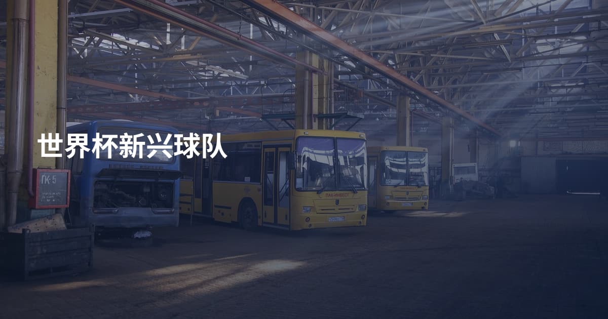 世界杯新兴球队
