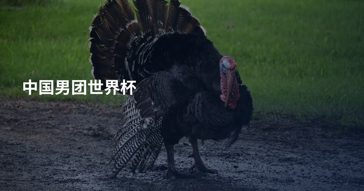 中国男团世界杯