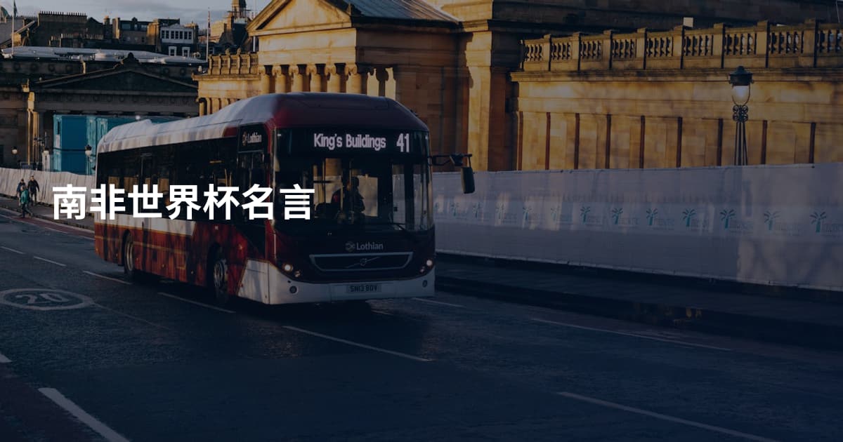 南非世界杯名言