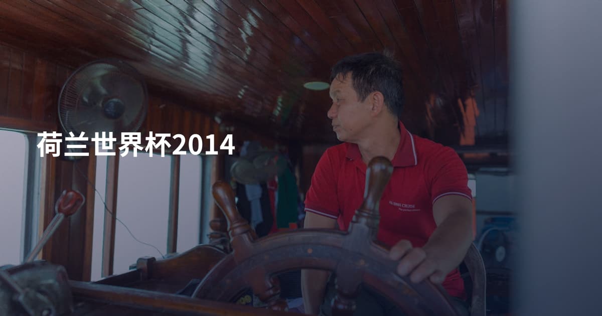 荷兰世界杯2014