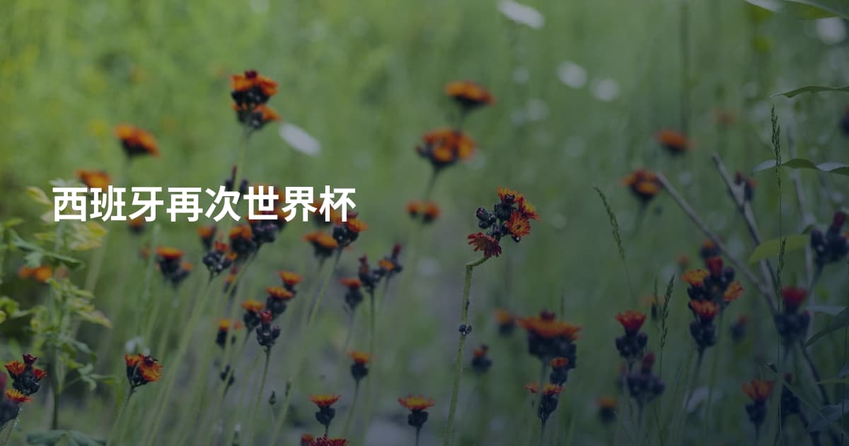 西班牙再次世界杯