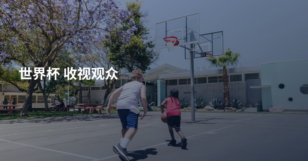世界杯 收视观众