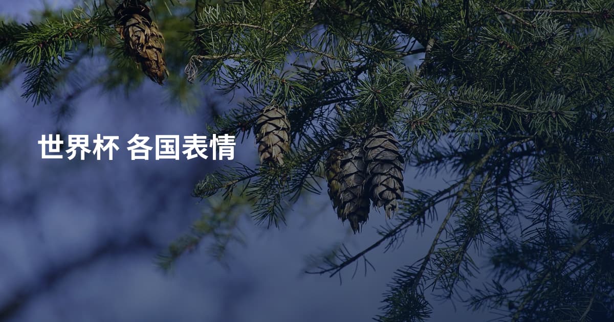 世界杯 各国表情