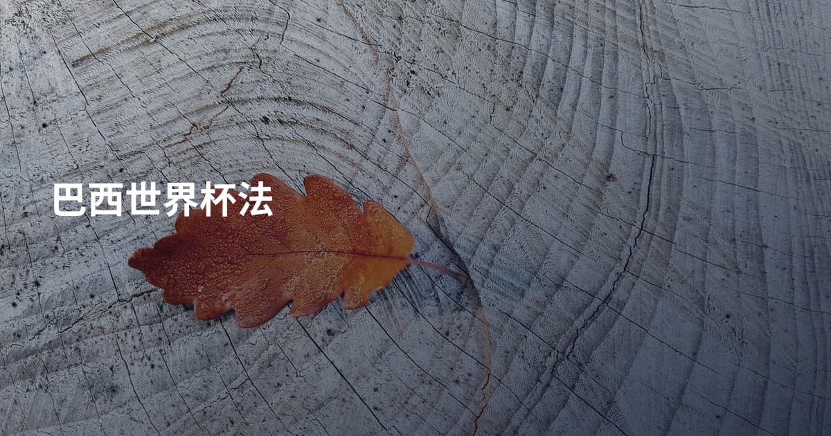 巴西世界杯法