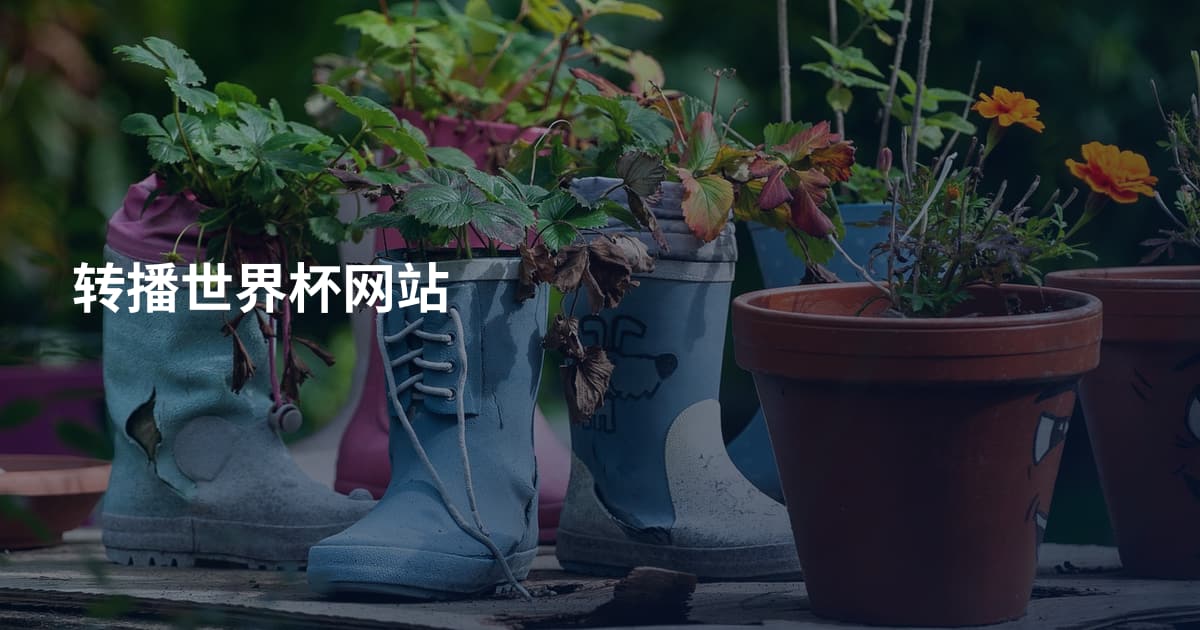 转播世界杯网站