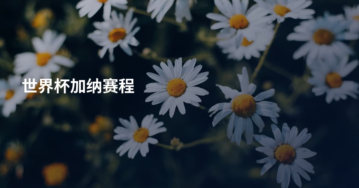世界杯加纳赛程