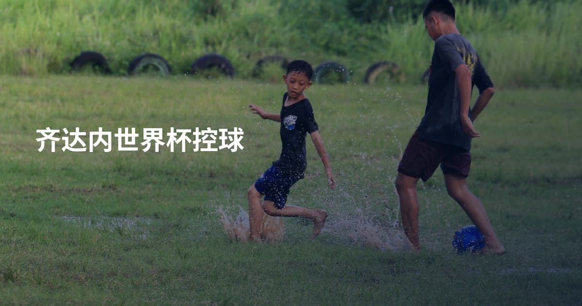 齐达内世界杯控球
