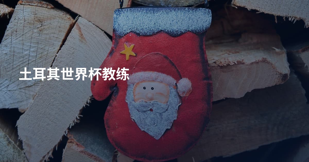 土耳其世界杯教练