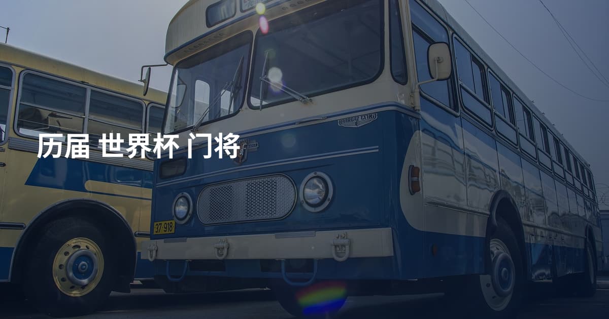 历届 世界杯 门将