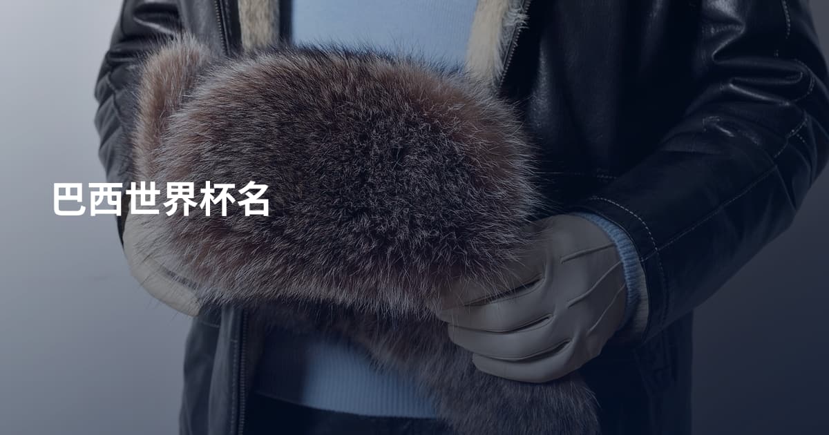 巴西世界杯名