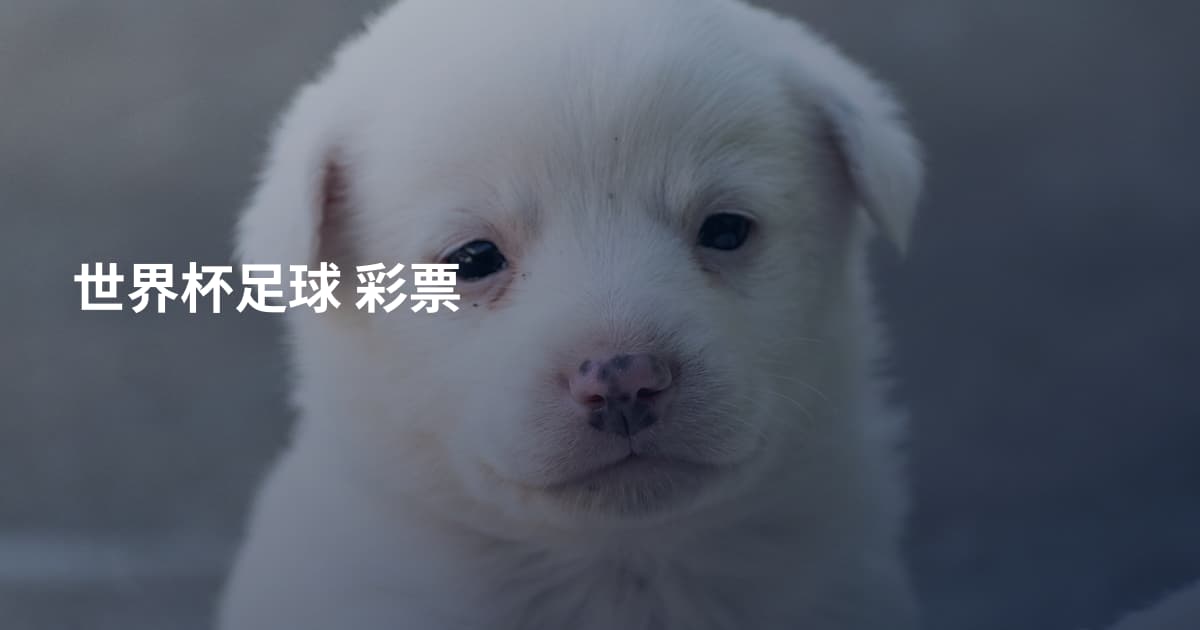 世界杯足球 彩票