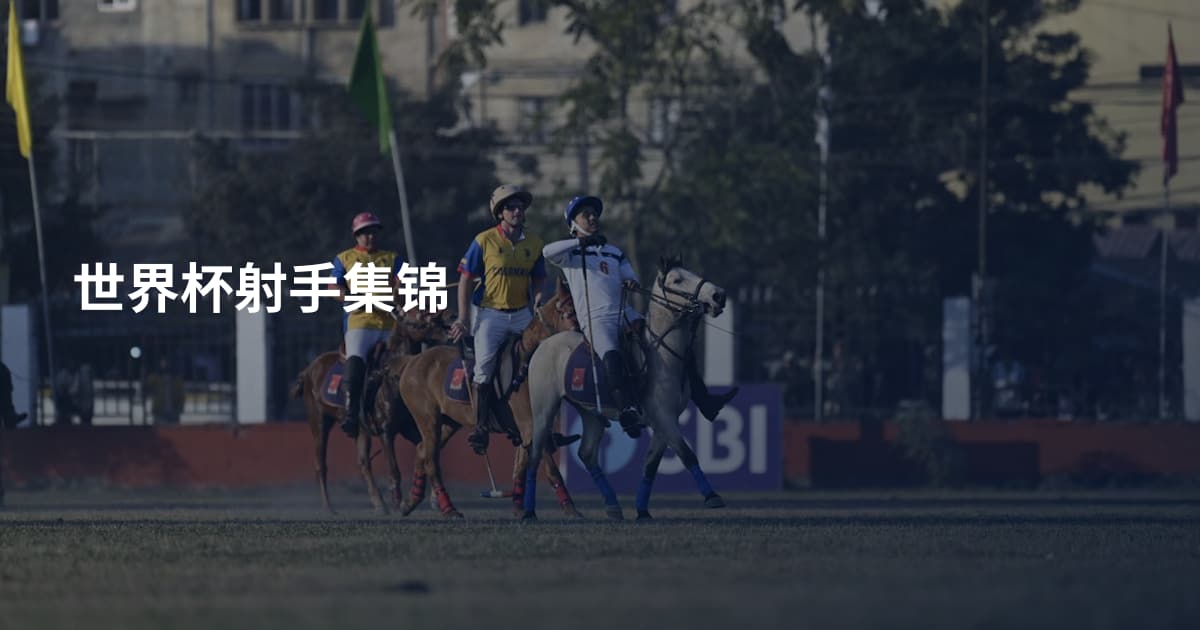世界杯射手集锦