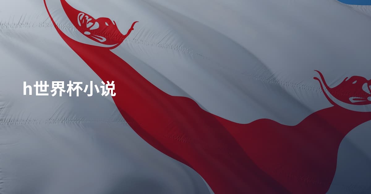 h世界杯小说