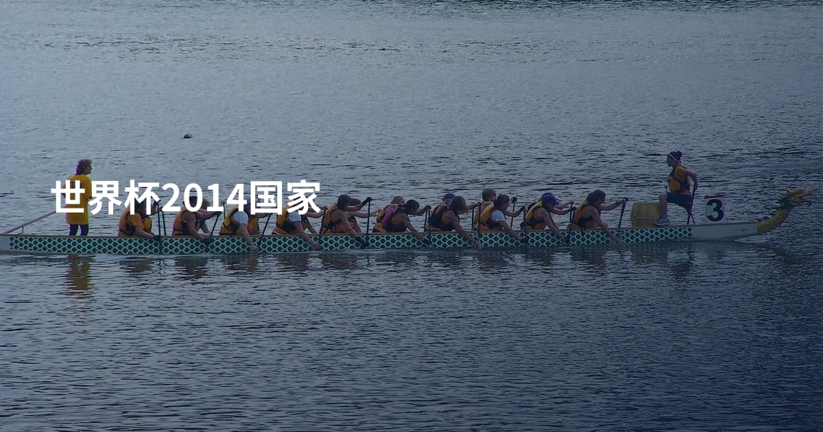 世界杯2014国家