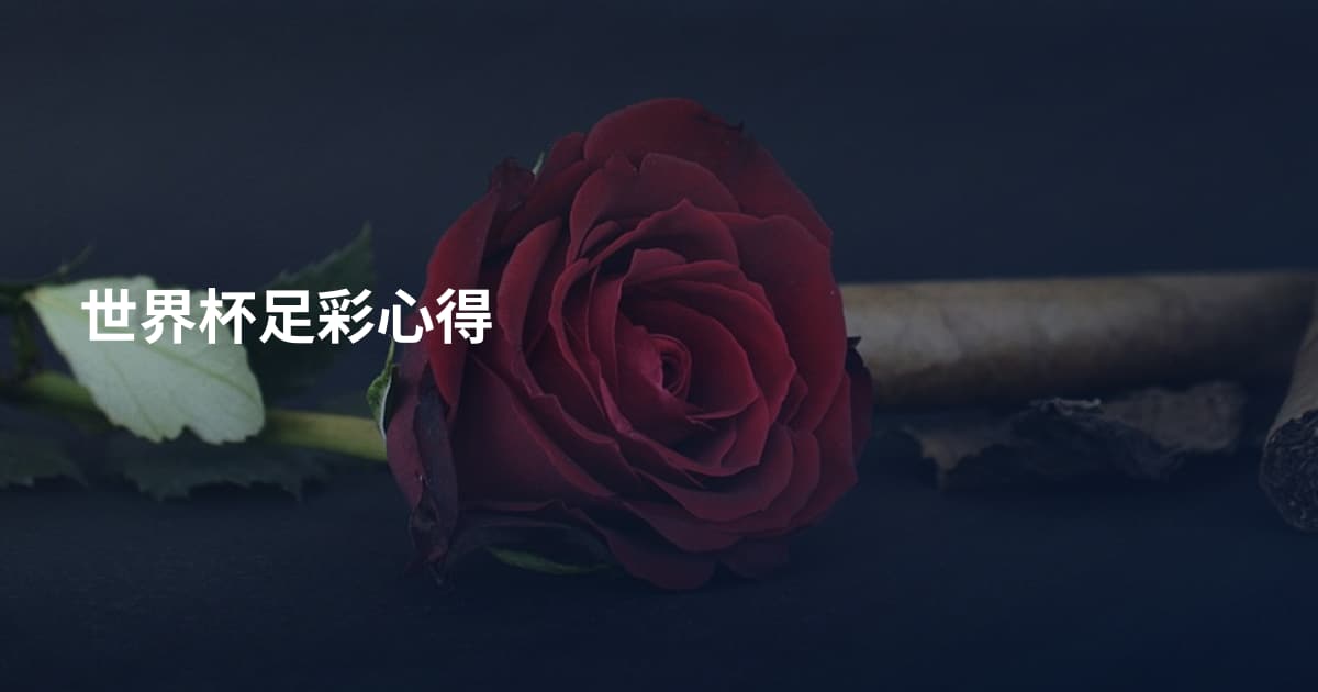 世界杯足彩心得