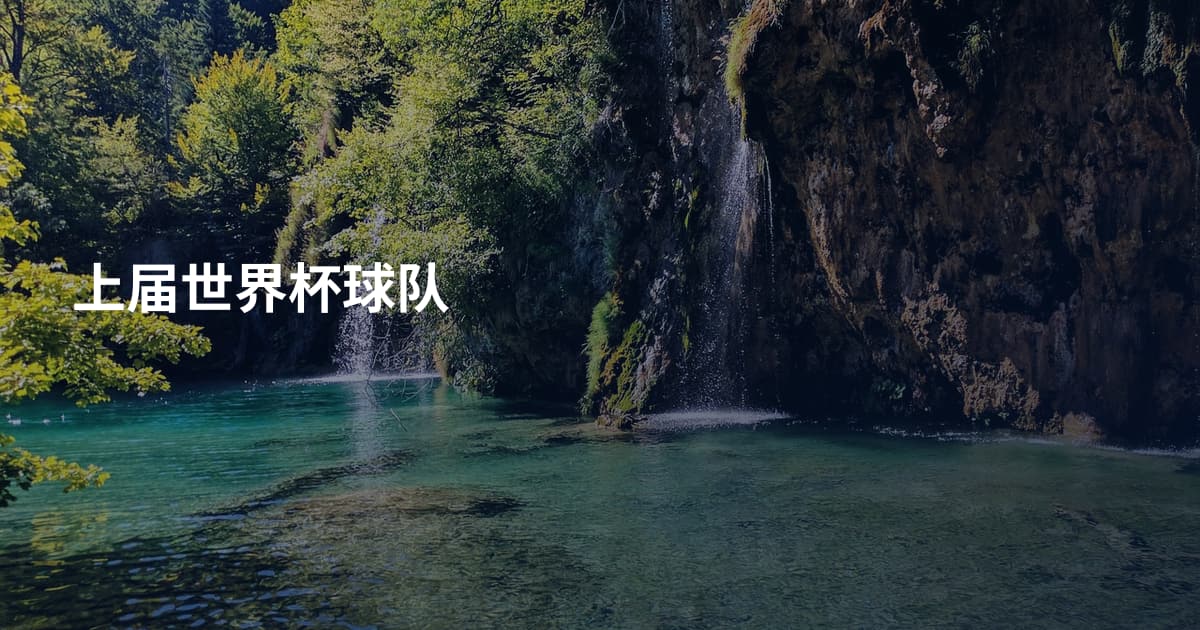 上届世界杯球队