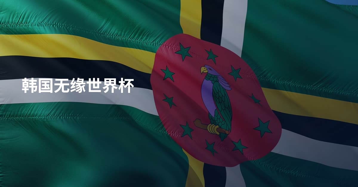 韩国无缘世界杯